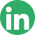 SBR-LS_Social_Media_Icon_LI